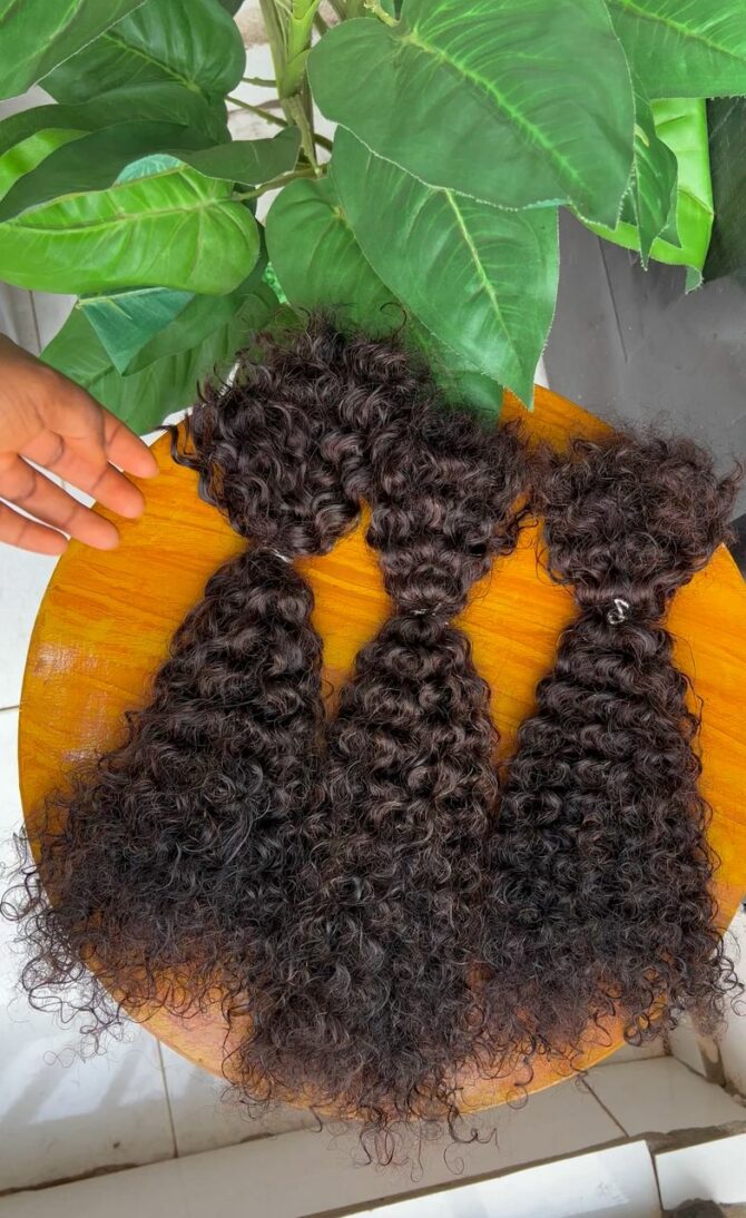 Queen Curls Bulk Hair For Micro Braids or Locs