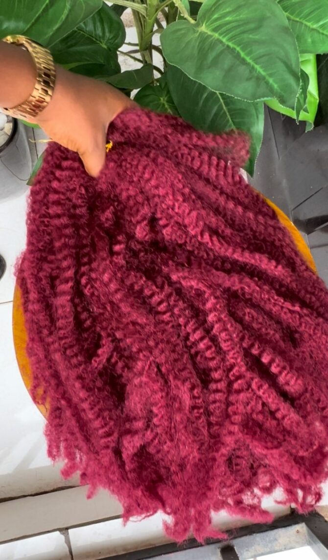 3 Bundles Afro Marley Bug