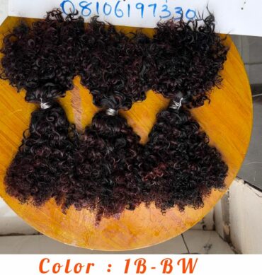 18" Curly Star Micro Twists Bundles  in 1B-BW